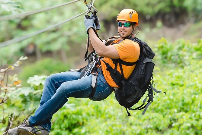 Zipline Adventure Tour - Price and Value: What $98.26 Buys You