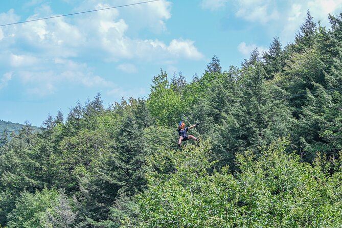 Zipline Canopy Activity Admission at Bristol Mountain - Key highlights you shouldn’t miss