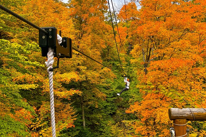 Zipline Canopy Activity Admission at Bristol Mountain - Bridges, Forest Hike, and Off-Road Rides: The 3-Hour Day Has Multiple Beats