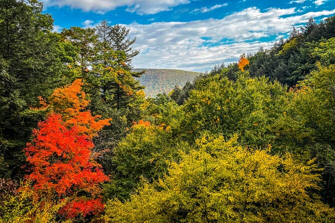 Zipline Canopy Activity Admission at Bristol Mountain - Who Should Book This Zipline Canopy Adventure (and Who Might Rethink It)