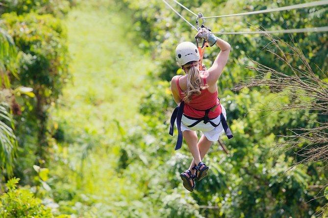 Zipline Canopy Tour & Tortuguero Canal Boat tour. Shore Excursion from Limon - Key things that make this combo worth your time