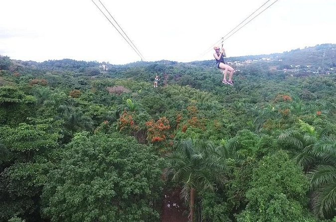 Zipline Canopy Tour with Transport from San Juan - The Real Value: Tree-Top Ecosystem Views You Can’t Get From the Ground