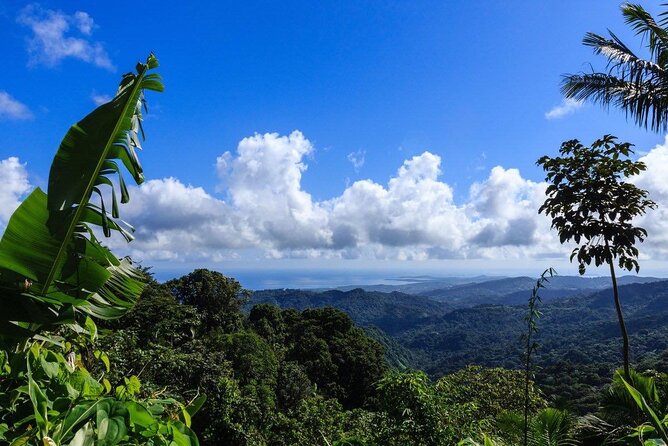 Zipline Canopy Tour with Transport from San Juan - Timing That Works: A 4-Hour Adventure With a Real Pace