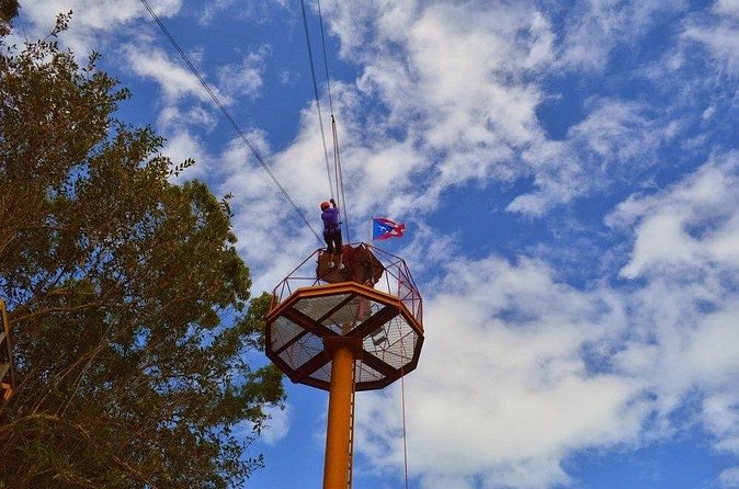 Zipline Canopy Tour with Transport from San Juan - Small Snags to Plan For: Weather, Cancellations, and Nature