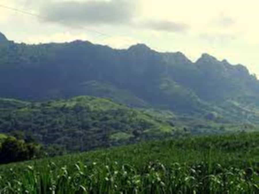 Zipline, Cave, Seaview & Mud Spa Tour with Lunch Included - The Short Pass Through Viseisei: A Quick Roadside Glimpse