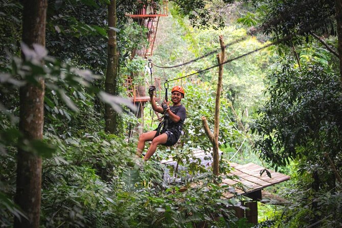 Zipline & Coffee with Waterfall Views in Koh Samui - The Treetop Course: Jungle Speed, Platform Views, and the Long Runs
