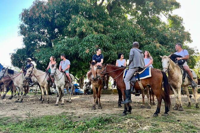 Zipline,Dune Buggy,Horse Riding - Horseback riding: scenic trails, riverbeds, and a cocoa plantation stop