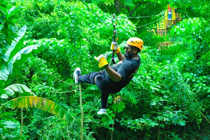 Zipline Expedition In Punta Cana - Should You Book Punta Cana Paradise Tour Zipline?