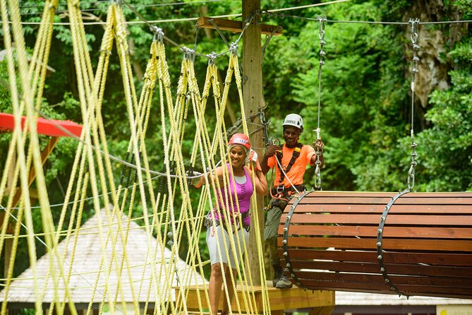 Zipline Experience & Obstacle Course at Harrison's Cave by Chukka - Key highlights you’ll actually care about
