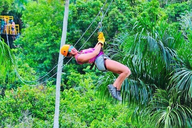 Zipline, Horse, Buggy and Macao Beach, Water Park with Lunch - Organic farm stop: coffee and green tea tastes along the way