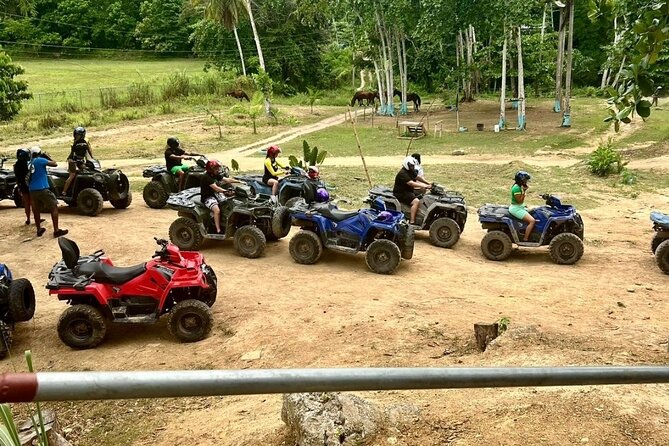 Zipline, Horseback Ride and Swim and Quad ATV bike in Negril - Jamwest: your first hit of nature-and-adventure energy