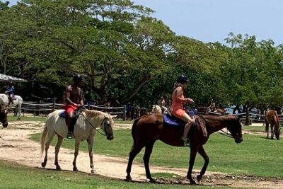 Zipline, Horseback Ride, ATV and Catamaran from Montego Bay - Private Transport and Hotel Pickup That Actually Matters