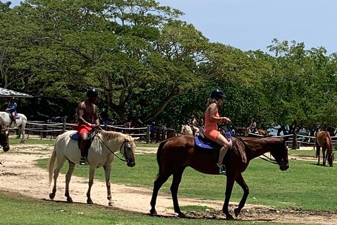 Zipline, Horseback Ride, ATV and Catamaran from Montego Bay - Private Transport and Hotel Pickup That Actually Matters