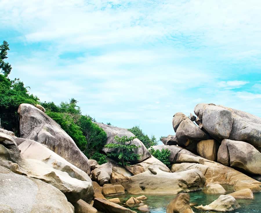 Zipline in Koh Samui Adventure activity tour - Meeting point: Tree Bridge Coffee and the mountain access tip
