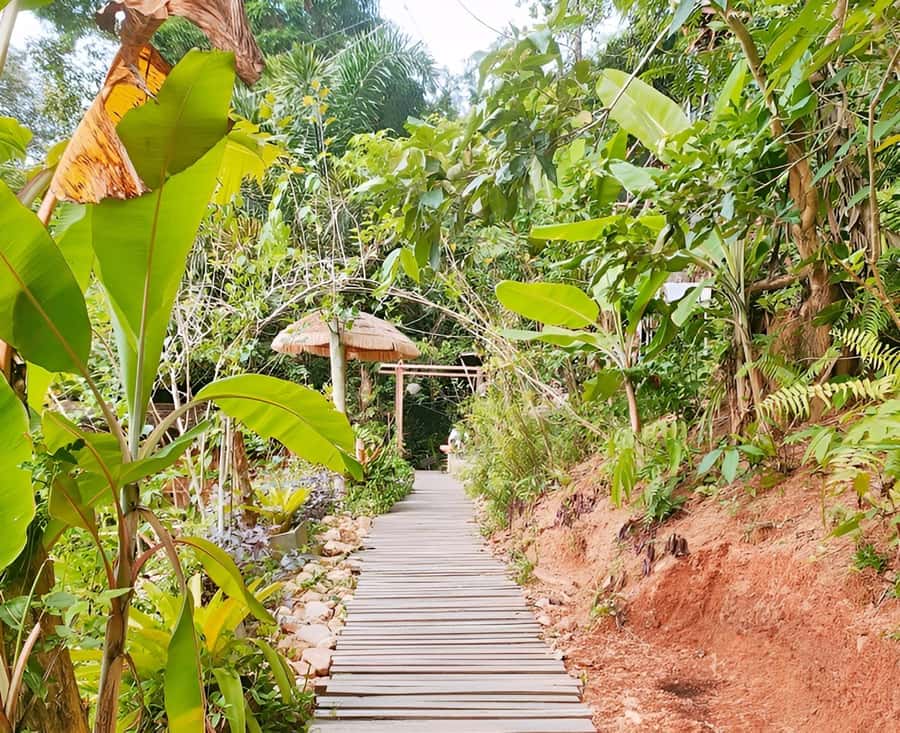 Zipline in Koh Samui Adventure activity tour - The quiet break: Tan Rua Waterfall in about 30 minutes