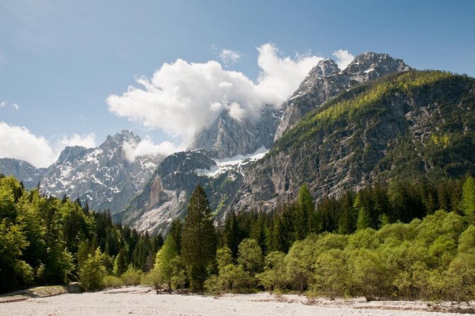 Zipline in Slovenia - Key Points Before You Go