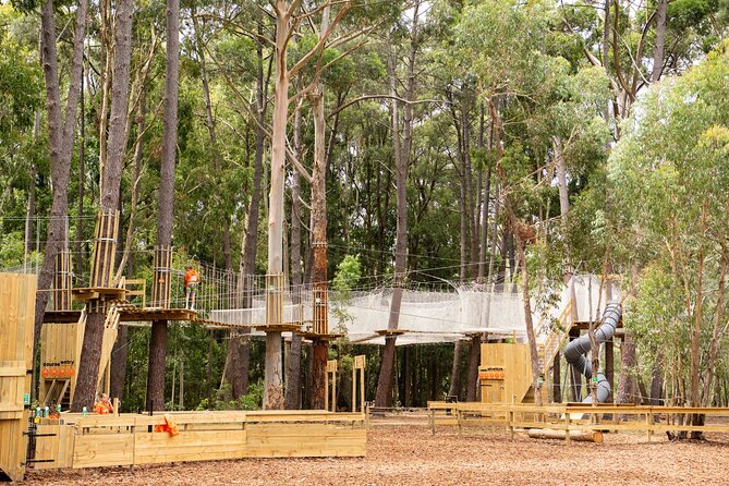 Zipline over the Heysen Trail & Through the Pines of Kuitpo - Kuitpo Forest Ziplining: What This Place Is Really Like
