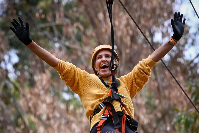 Zipline over the Heysen Trail & Through the Pines of Kuitpo - Safety, Staff, and the Small-Group Advantage