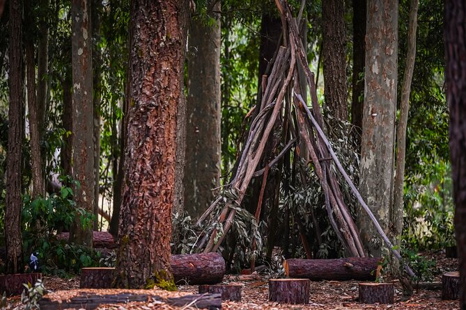 Zipline over the Heysen Trail & Through the Pines of Kuitpo - The Price: Is $34 Good Value for What You Get?