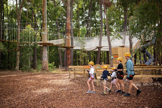 Zipline over the Heysen Trail & Through the Pines of Kuitpo - Who Should Book This (and Who Should Skip It)