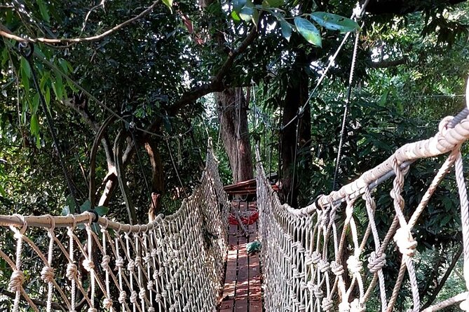 Zipline Ride on Koh Samui - Where You Ride: Southern Koh Samui Views Over an Untouched Forest