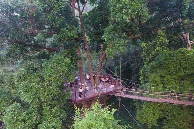 Zipline Ride on Koh Samui - Who This Is For (And Who Should Re-check the Rules First)