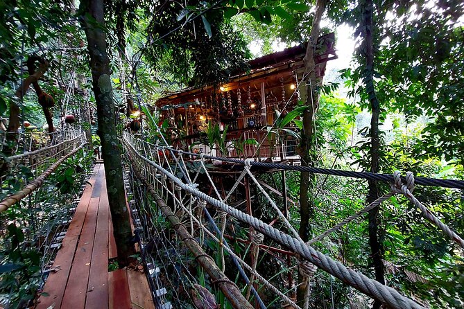 Zipline Ride on Koh Samui - Price and Value: Is $74.76 Worth It?