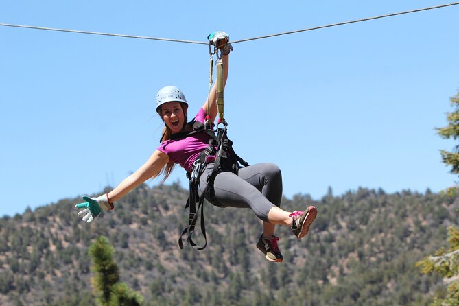 Zipline Tour - 9 high-speed ziplines & fun suspension bridge - Key highlights worth planning around