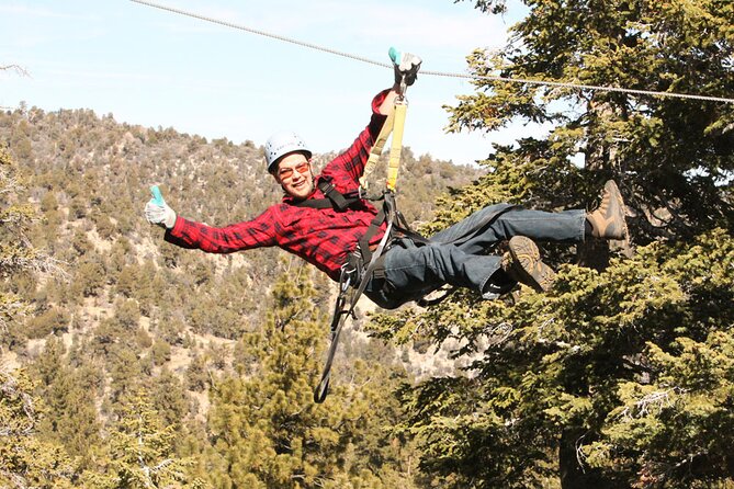 Zipline Tour - 9 high-speed ziplines & fun suspension bridge - Nine zip lines and the Johnson Valley suspension bridge: the thrill in Big Bear