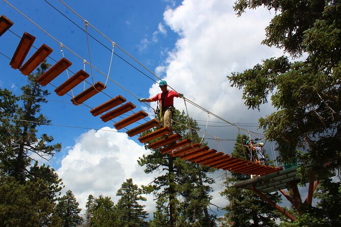 Zipline Tour - 9 high-speed ziplines & fun suspension bridge - Gear up right: safety briefing, harness fitting, and the guide vibe