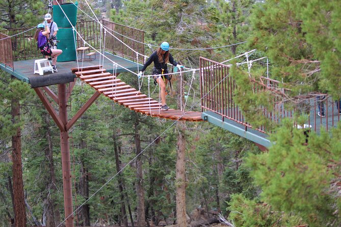 Zipline Tour - 9 high-speed ziplines & fun suspension bridge - Line-by-line speed: lengths from 140 to 860 feet and what to expect
